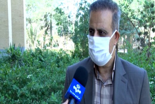 هجوم ملخ‌ها به شمال استان بوشهر