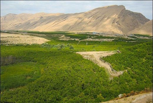 شناسایی بیش از ۲ هزار مورد تغییر کاربری غیرمجاز در اراضی کشاورزی قزوین