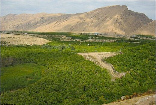 شناسایی بیش از ۲ هزار مورد تغییر کاربری غیرمجاز در اراضی کشاورزی قزوین