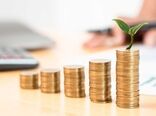 تلاش برای افزایش سرمایه صندوق توسعه کشاورزی 