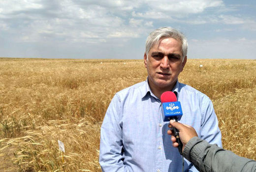 رشد ۲۳درصدی تولید محصولات زراعی در 5 سال اخیر