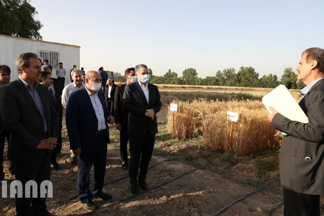 WhatsApp Image 2022-06-14 at 10.06.24 AM