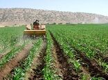 خراسان شمالی 452 هکتار اراضی کشاورزی قابل کشت دارد 