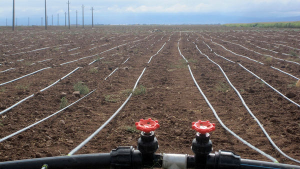 اجرای 182 هکتار سامانه نوین آبیاری در اراضی کشاورزی شهرستان آوج