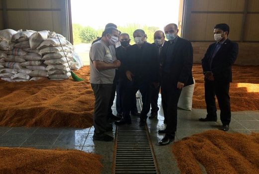 پسماند میادین میوه و تره بار خوراک دام می‌شود