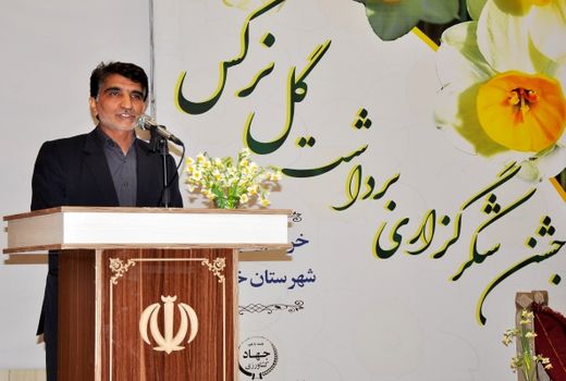 موافقت وزارت جهاد برای بیمه گل نرگس