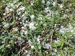 حوادث غیر مترقبه بیش از 5 هزار میلیارد ریال به محصولات کشاورزی آذربایجان غربی خسارت زد