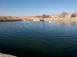 تجهیز461 هکتار از اراضی کشاورزی شهرستان به سیستم های نوین آبیاری