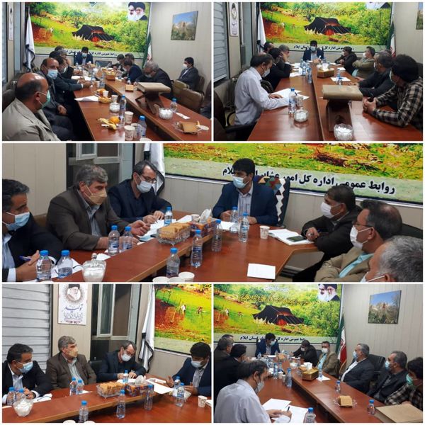 برگزاری جلسه هماهنگی صادارات دام استان