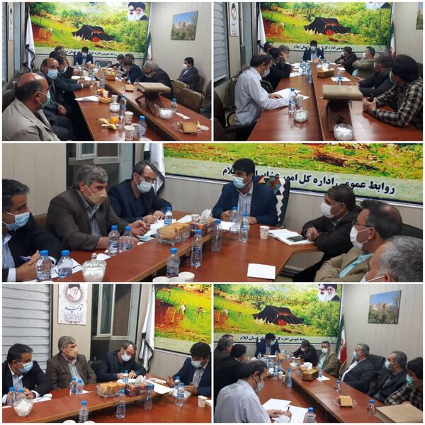 برگزاری جلسه هماهنگی صادارات دام استان