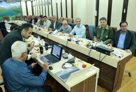 نشست راهکار مقابله با آفت پروانه دم قهوه‌ای در جنگل های بلوط منطقه طارم سفلی قزوین
