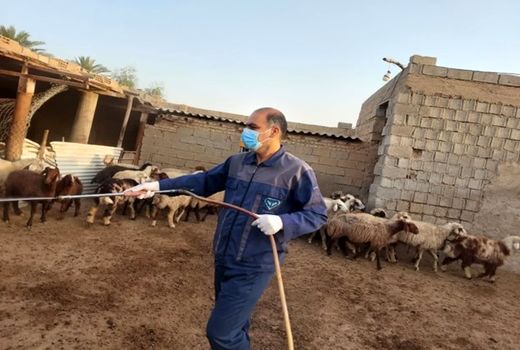 سمپاشی رایگان بیش از 40 هزار متر مربع جایگاه نگهداری دام روستایی 