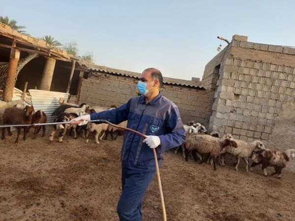 سمپاشی رایگان بیش از 40 هزار متر مربع جایگاه نگهداری دام روستایی 