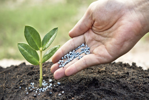 قیمت کودهای یارانه‌ای امسال افزایش نمی‌یابد