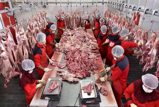چراغ سبز بازار به کاهش قیمت گوشت