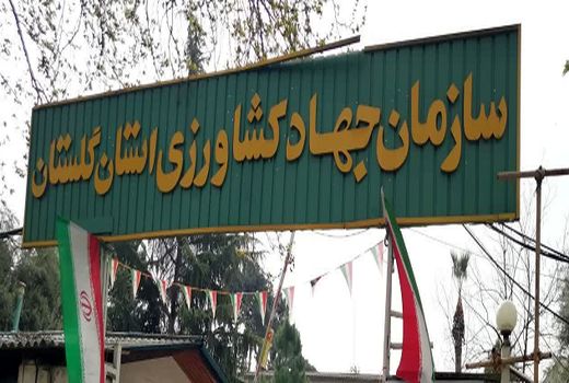 سازمان جهادکشاورزی استان گلستان در حوزه واگذاری تصدی ها رتبه اول را به دست آورد