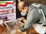 اردوهای جهادی دامپزشکی در روستاهای استان بوشهر برگزار شد