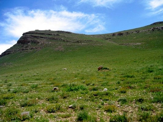 بازپس گیری ۱۶۰۰ هکتار از اراضی ملی آذربایجان‌غربی