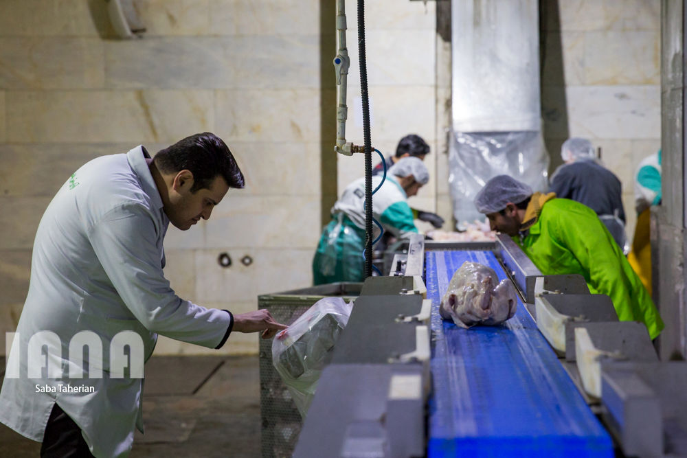 بسته‌بندی محصولات پروتئینی