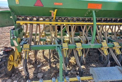 کاشت گیاه دارویی سیاه دانه در قیروکارزین