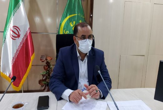 افزایش ۲۵ درصدی محصولات دیم با اجرای طرح جهش تولید در دیم‌زار‌ها