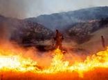 مراتع کوه برچک دشتستان آتش گرفت