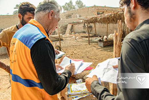 توزیع 13 تن مکمل دامی غذایی رایگان در حوضه کرخه