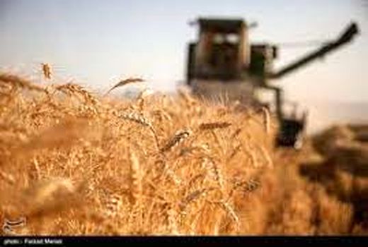 برگزاری جلسه کمیته برداشت در شهرستان مهران