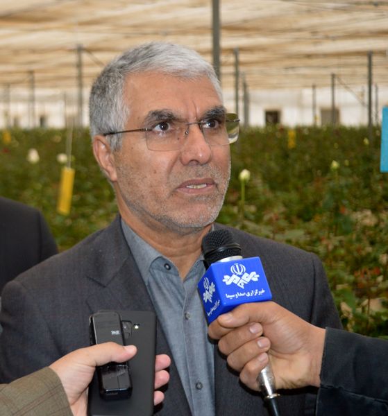 توسعه کشت گلخانهای ضرورت جدی در استان فارس