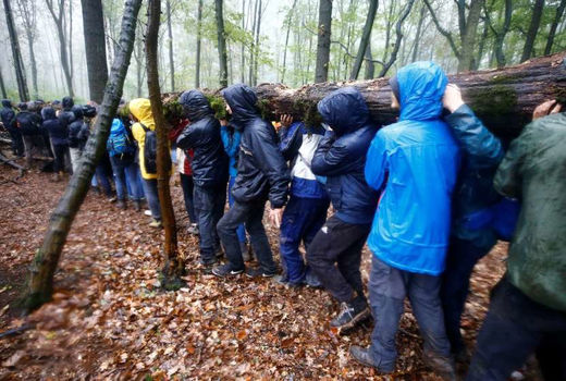 اعتراض به تخریب جنگل در آلمان
