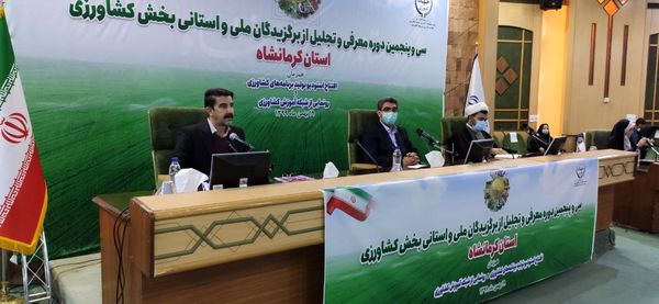 انتخاب نمونه‌های کشاورزی به افزایش ضریب دانش کشاورزی در مزارع کمک می‌کند
