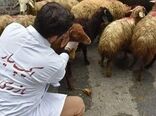  تشدید نظارت بهداشتی و شرعی ویژه عید سعید قربان

