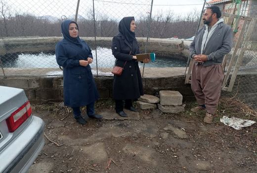 رهاسازی ۱.۴ میلیون قطعه بچه ماهی در استخر‌های مراغه 