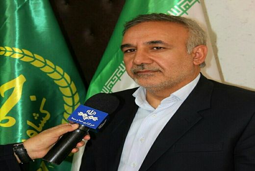 برداشت ۴۷ تا ۵۰ هزار تن انار از باغات این استان