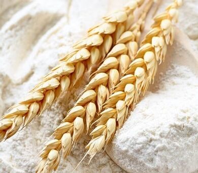 انباشت سبوس و کمبود نقدینگی؛ دو بحران صنعت آرد کردستان