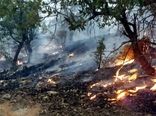 با مدیریت میدانی و مشارکت مردم آتش درازنوی کنترل شد
