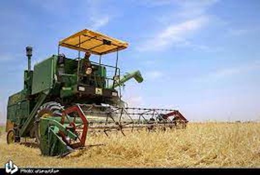 10 درصد گندم کشور در کردستان تولید می‌شود/ قدردانی نمایندگان کشاورزان از افزایش قیمت گندم
