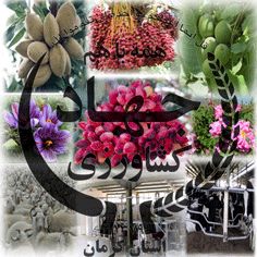 کلاس آموزشی تغذیه درختان میوه در شهرستان شهربابک برگزار شد