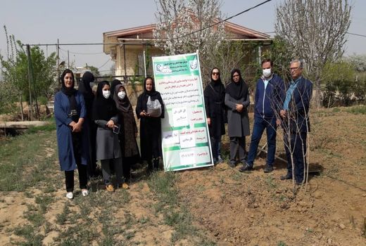 ایجاد سایت الگویی و ترویجی گیاهان دارویی در 3 هزار مترمربع در شهرستان تاکستان