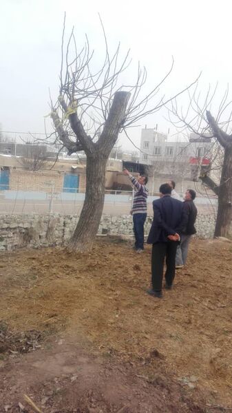 باغداران شهرستان قزوین با اصول نوین باغداری آشنا شدند