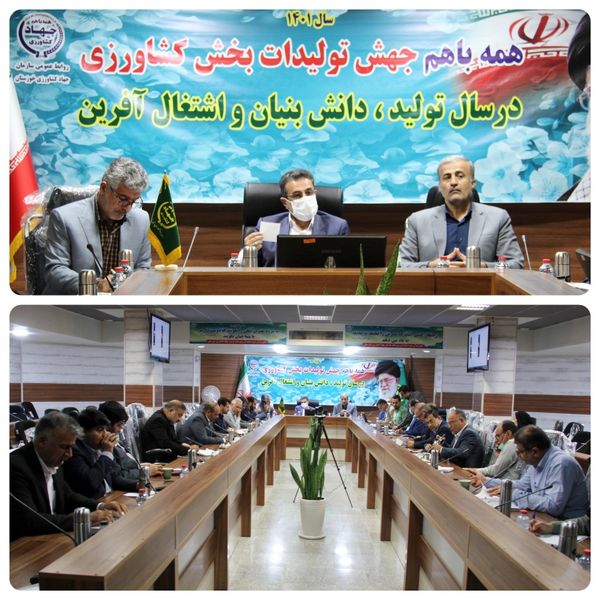 تاکید بر استفاده از بذر گواهی شده و بیمه محصولات پاییزه در خوزستان