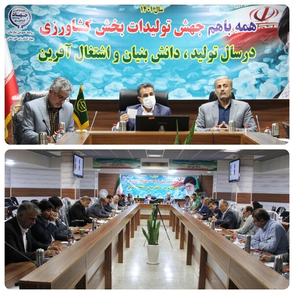 تاکید بر استفاده از بذر گواهی شده و بیمه محصولات پاییزه در خوزستان

