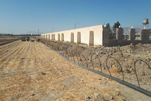 تجهیز 2550هکتار از اراضی شهرستان تهران به سامانه‌های نوین آبیاری