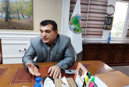 شبکه شاد فرصتی استثنایی برای اجرای طرح کاشت یک میلیارد درخت