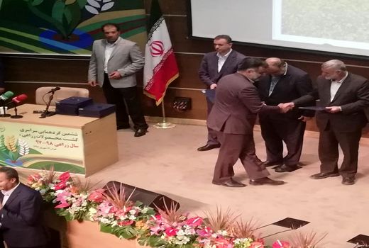 تقدیر وزیر جهادکشاورزی از برترین‌های کشاورزی فارس