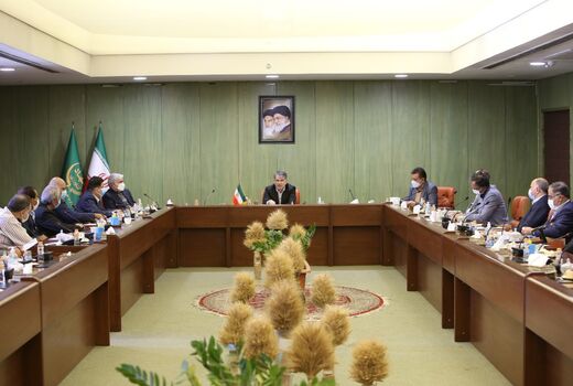 لزوم انسجام و ساماندهی تشکل‌ها برای ایجاد قدرت در بخش کشاورزی