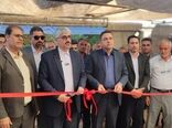 گلخانه فلفل دلمه ای در شهرستان آباده افتتاح شد