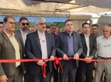 گلخانه فلفل دلمه ای در شهرستان آباده افتتاح شد