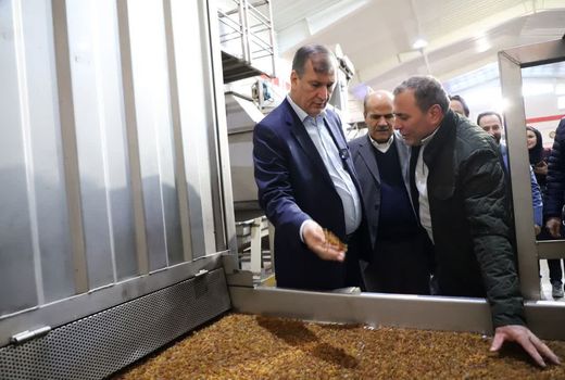 افزایش راندمان با اجرای طرح فراز در باغات انگور