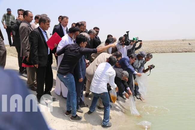 فتتاح مزرعه پرورش میگو توسط وزیر جهاد کشاورزی در ساحل سیریک استان هرمزگان